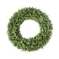 UV Boxwood Round Wreath 19 Inch