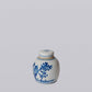 Blue and White Porcelain Mini Bird and Flower Round Jar