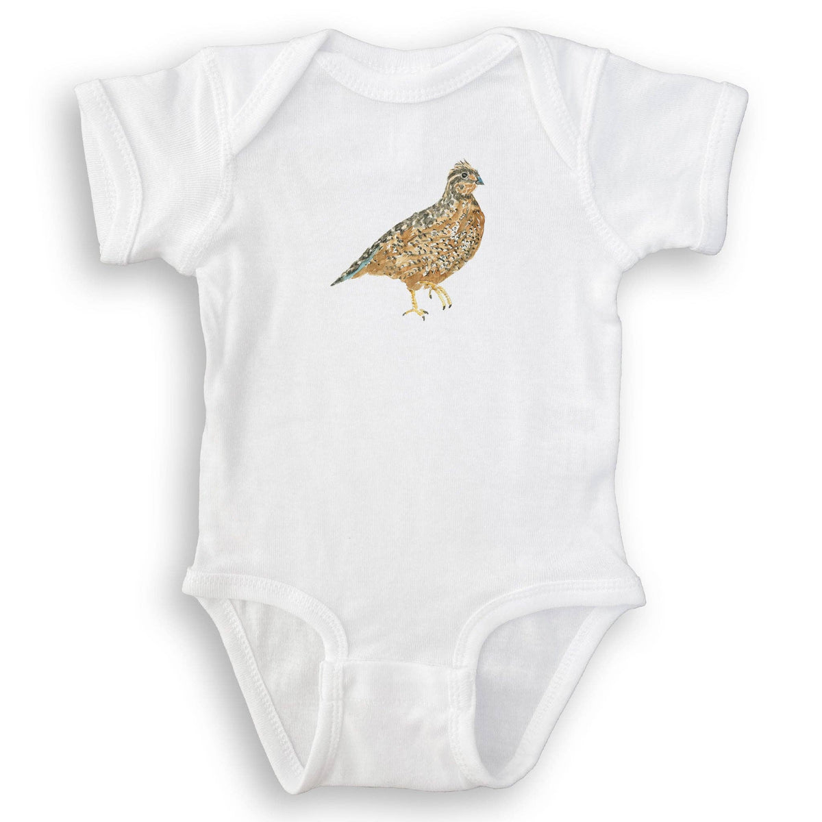 Brown Quail