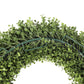UV Boxwood Round Wreath 19 Inch