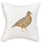 Brown Quail