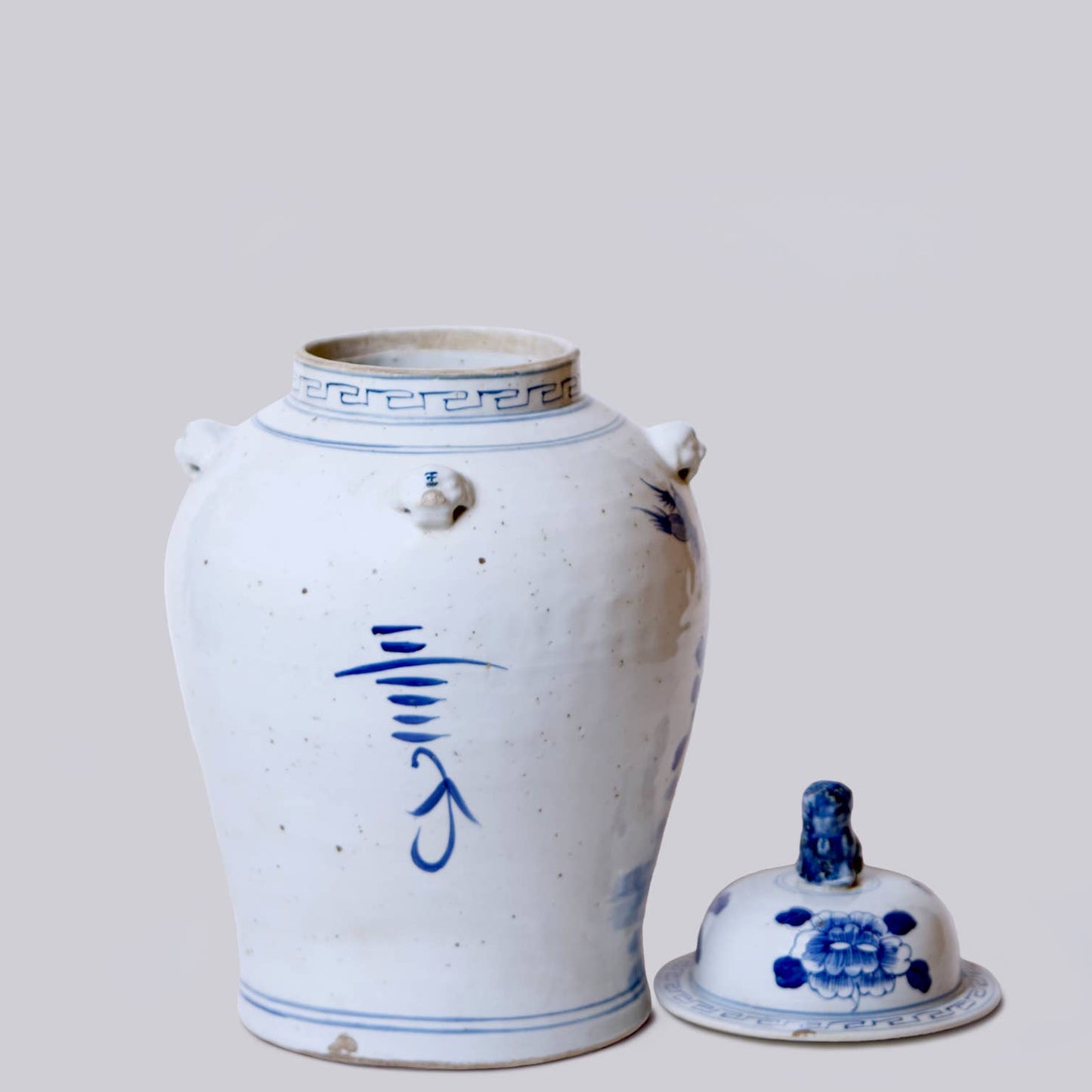 Bird and Flower Blue and White Porcelain Temple Jar